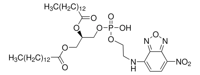 1,2-Dimyristoyl-sn-glycero-3-phosphoethanolamine, 7-nitrobenzofurazan-labeled BioReagent, suitable for fluorescence, ammonium salt, &#8805;98.0% (TLC)