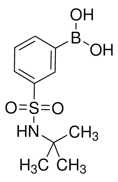 tert-Butyl 3-boronobenzenesulfonamide