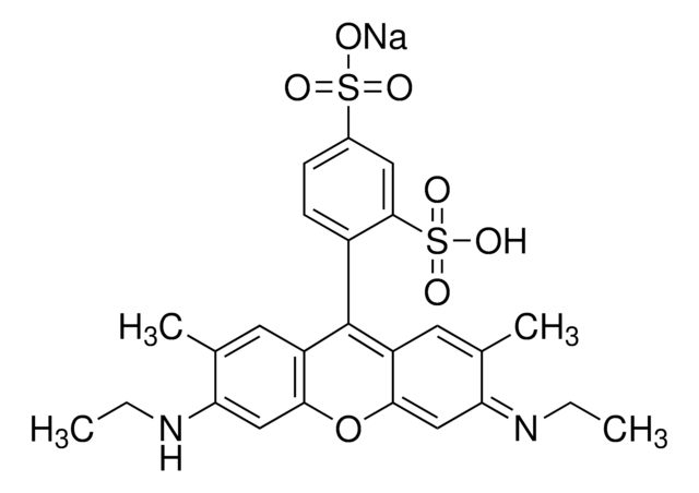 Sulforhodamin G Dye content 60&#160;%