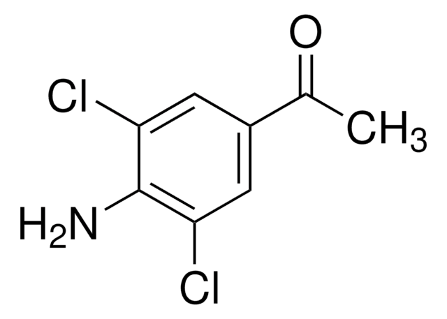 4'-アミノ-3',5'-ジクロロアセトフェノン 97%