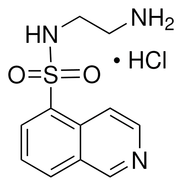 N-(2-Aminoethyl)-5-isoquinolinesulfonamide hydrochloride &#8805;97.0% (HPLC)