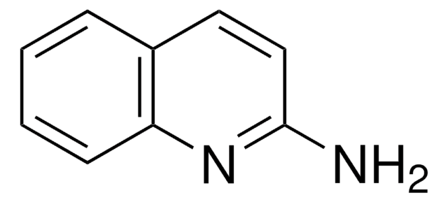 2-Aminoquinoline 97%