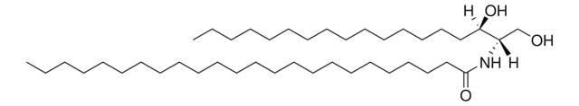 C24 Dihydroceramide (d18:0/24:0) Avanti Research&#8482; - A Croda Brand 860628P, powder