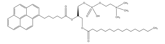 1-Palmitoyl-2-(pyren-1-yl)hexanoyl-sn-glycero-3-phosphocholine