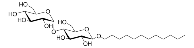 N-Dodecyl-Beta-D-Maltoside (DDM, 85%) Avanti Research&#8482; - A Croda Brand