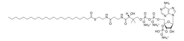 23:0 Coenzyme A Avanti Research&#8482; - A Croda Brand 870723P, powder