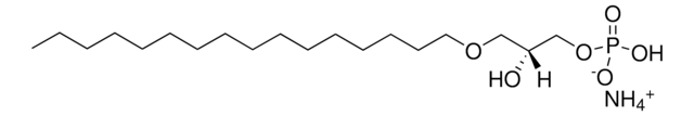 C16 LPA 1-O-hexadecyl-2-hydroxy-sn-glycero-3-phosphate (ammonium salt), powder