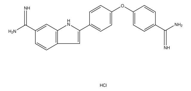 p-Amidinophenyl p-(6-amidino-2-indolyl)phenyl ether dihydrochloride