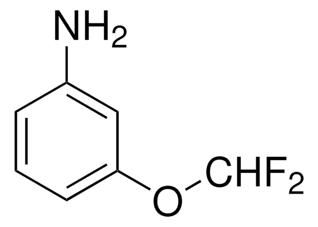 3-(Difluoromethoxy)aniline 97%