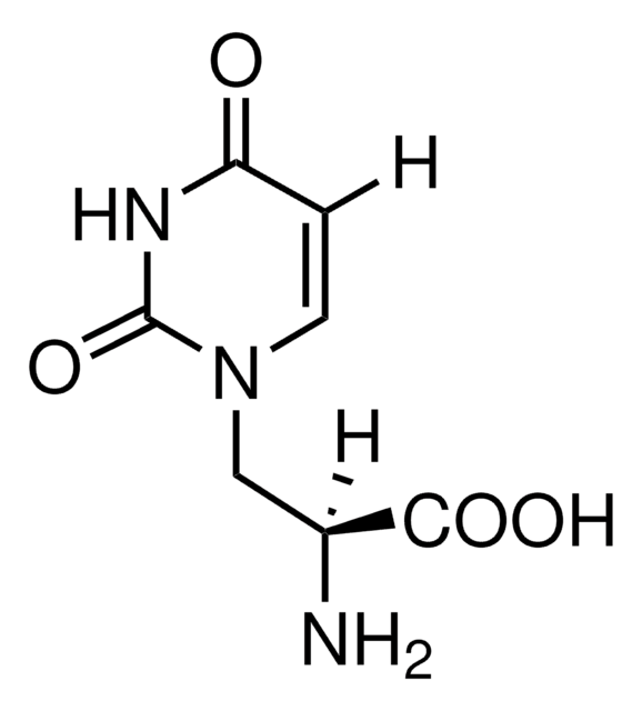 S(&#8722;)-Willardiine solid