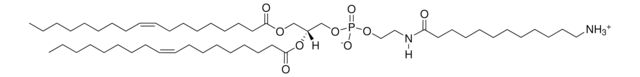 18:1 Dodecanylamine PE Avanti Research&#8482; - A Croda Brand 870142C