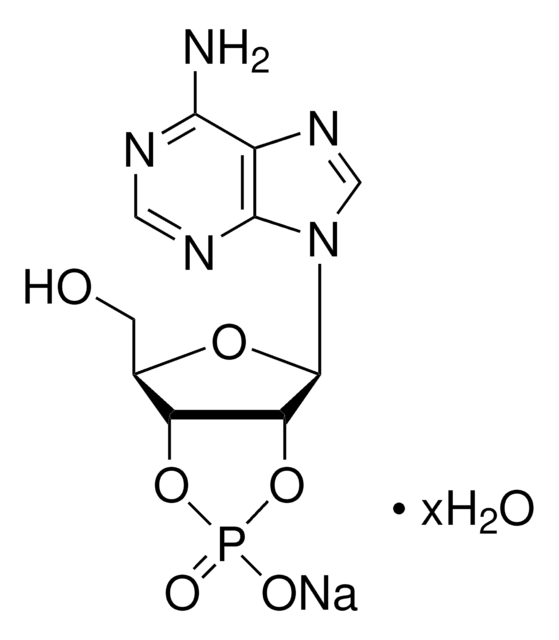 Adenosine 2&#8242;:3&#8242;-cyclic monophosphate sodium salt 98%