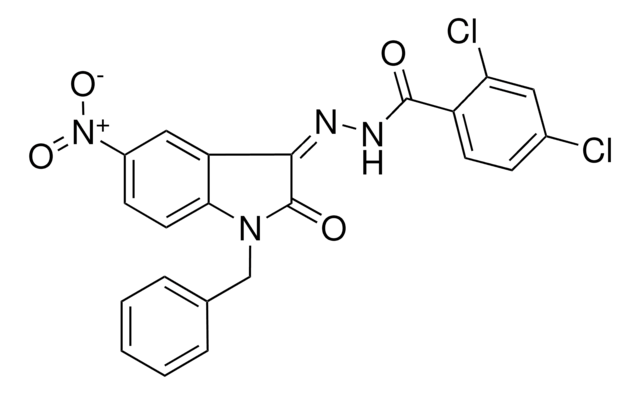 N'-[(3Z)-1-BENZYL-5-NITRO-2-OXO-1,2-DIHYDRO-3H-INDOL-3-YLIDENE]-2,4-DICHLOROBENZOHYDRAZIDE AldrichCPR