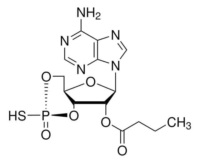 Rp-2&#8242;-O-Monobutyryladenosine 3&#8242;,5&#8242;-cyclic monophosphorothioate &#8805;97% (HPLC), solid