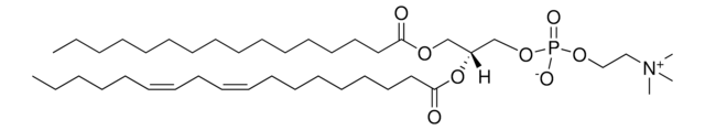 Heart PC Avanti Research&#8482; - A Croda Brand 840052P, powder