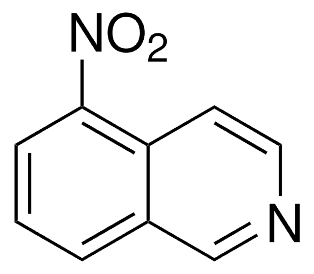 5-Nitroisochinolin 98%