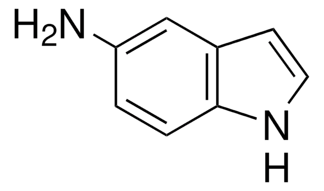 5-氨基吲哚 97%