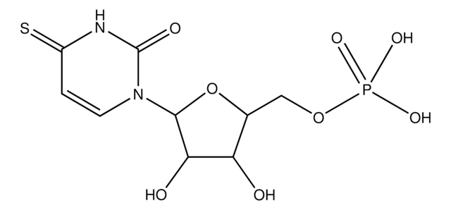 4-Thiouridine 5&#8242;-monophosphate sodium salt ~98%