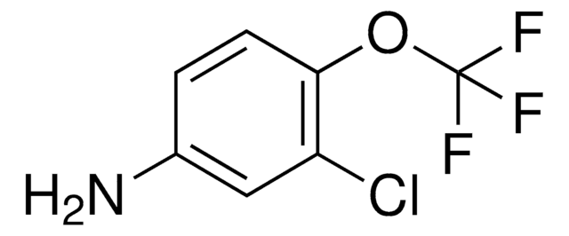 3-Chloro-4-(trifluoromethoxy)phenylamine AldrichCPR