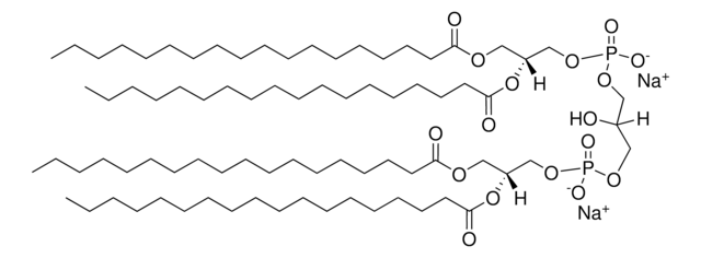 18:0 Cardiolipin Avanti Research&#8482; - A Croda Brand, powder