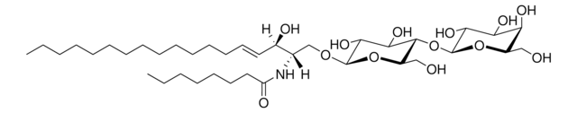 C8 Lactosyl(&#946;) Ceramide (d18:1/8:0) Avanti Research&#8482; - A Croda Brand 860541P, powder