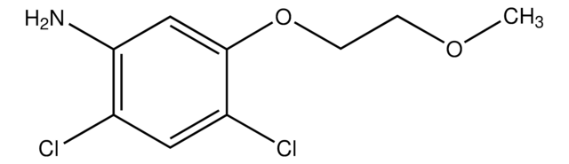 2,4-Dichloro-5-(2-methoxyethoxy)aniline