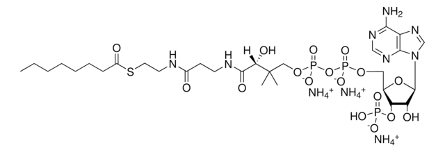 08:0 Coenzyme A Avanti Research&#8482; - A Croda Brand 870708P, powder