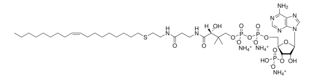 18:1 ether Coenzyme A Avanti Research&#8482; - A Croda Brand 870741P, powder