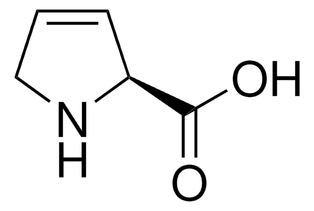 3,4-Dehydro-L-proline 98%