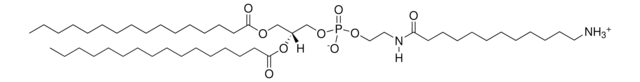 16:0 Dodecanylamine PE Avanti Research&#8482; - A Croda Brand 870140P, powder