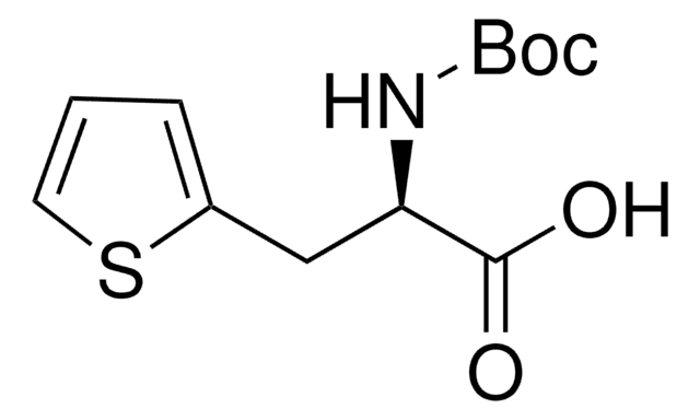 Boc-&#946;-(2-thienyl)-D-Ala-OH &#8805;98.0% (HPLC)