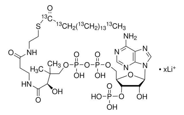 Palmitoyl-13C16-Coenzym A 99 atom % 13C, 95% (CP)