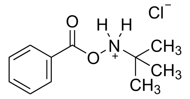 N-tert-Butyl-O-benzoylhydroxylamine hydrochloride 97%