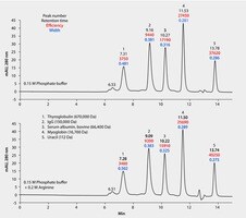 Hplc Analysis Of Protein Standards On Zenix Sec By Size Exclusion As Affected By Arginine