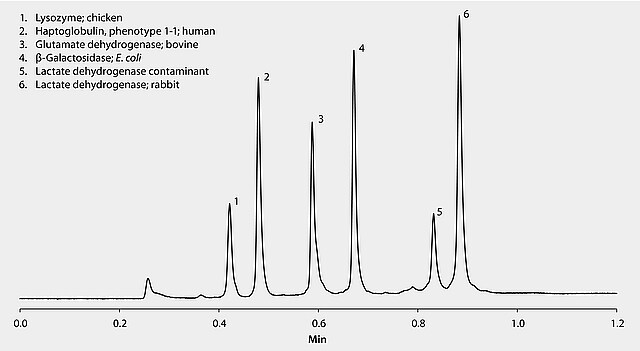 HPLC Analysis Of Proteins On BIOshell A400 Protein C4 Rapid Separation At Elevated Temperature