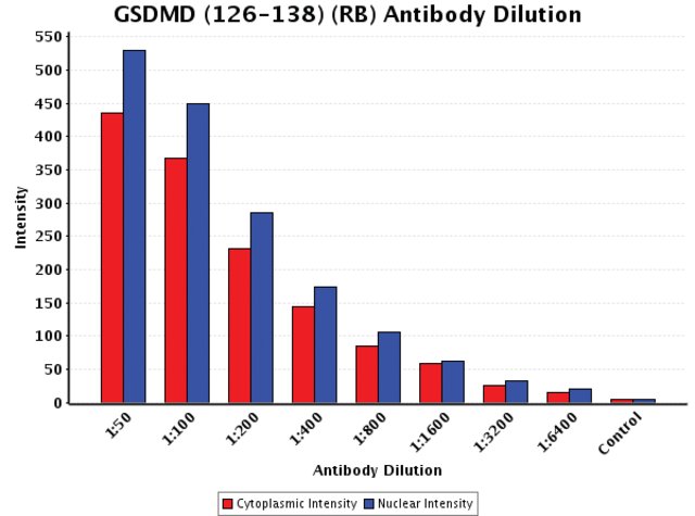 Anti Gsdmd 126 138 Antibody Produced In Rabbit Igg Fraction Of Antiserum Buffered Aqueous Solution