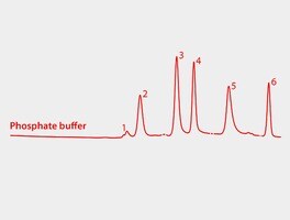 Hplc Analysis Of Protein Standards On Zenix Sec Using Different