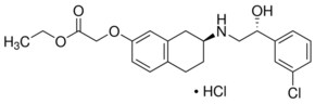 MISSION® esiRNA targeting human OR1Q1 | Sigma-Aldrich