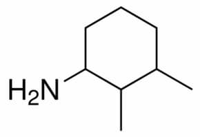 2,3-Dimethylcyclohexylamine 99%