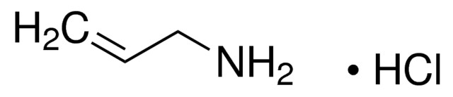 Allylamine hydrochloride 98% | 10017-11-5