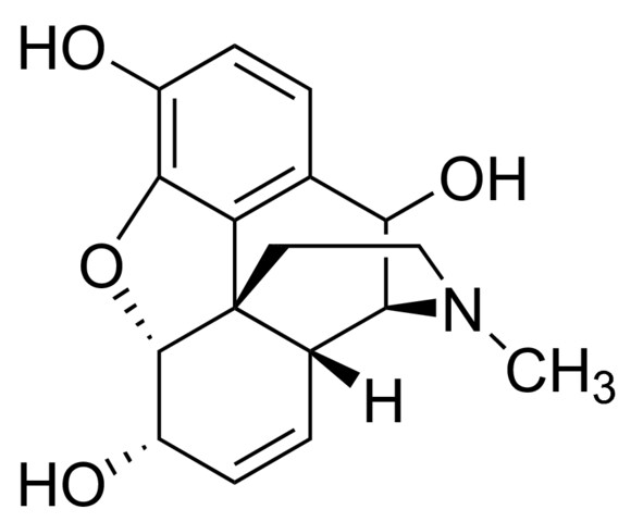 10 Hydroxymorphine Solution 100 Mg Ml In Methanol Ampule Of 1 Ml Certified Reference Material Cerilliant 131563 73 0